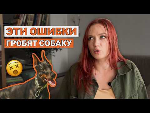 Видео: 3 ГРУБЫЕ ошибки в воспитании собаки | Это ломает вашу собаку, а вы об этом не догадываетесь