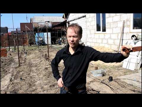 Видео: Успешное выращивания винограда.От чего зависит?Северные регионы.