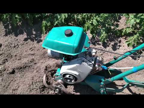 Видео: Культиватор крот магнето от бензокосы