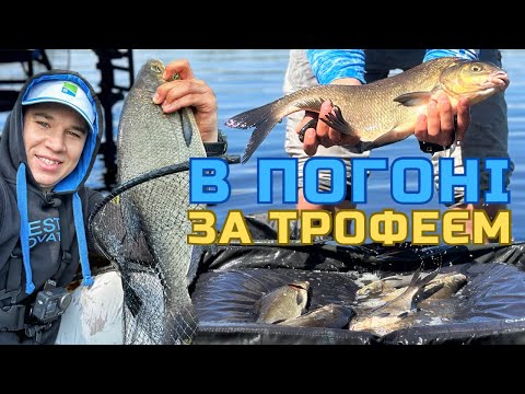 Видео: ЯК ЛОВИТЬ ТРОФЕЙНОГО ЛЯЩА⁉️ КОРОТКО І ЯСНО❗️СЕКРЕТ ПРОСТИЙ🎯