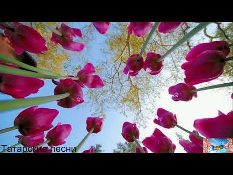 Видео: Татарские песни 25