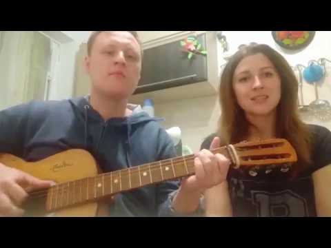 Видео: Концерт на кухне - Человек и кошка