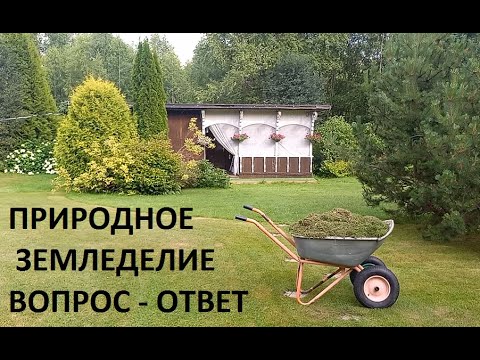 Видео: Природное земледелие. О разном.