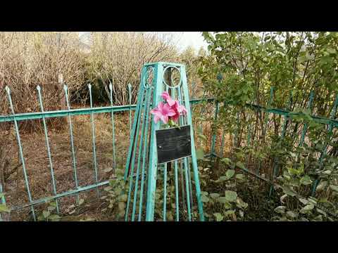 Видео: ЕЩЕ ОДНО ЗАБРОШЕННОЕ КЛАДБИЩЕ В ЩУЧИНСКЕ. Сколько еще таких?