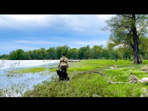 Видео: Проверка фитилей с сыном. Поймали рыбы! Лещи лопаты. Рыбалка на фитили в Сибири