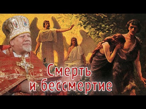 Видео: Смерть и бессмертие. Проповедь священника Георгия Полякова.