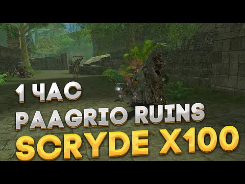 Видео: Scryde x100 | Фармим PAAGRIO RUINS 1 ЧАС | фарм адены | лучшие места фарма | Заработок спойлом
