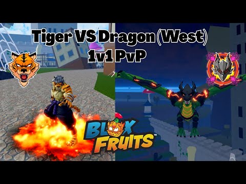 Видео: Тигровый (переработанный) фрукт против Драконьего фрукта (запад) PvP 1 на 1: что лучше? Блокс Фрутс