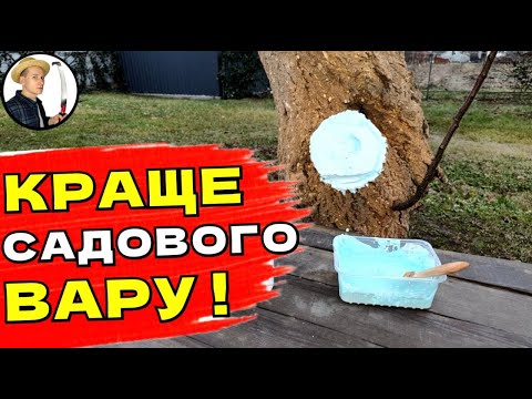 Видео: ЦЕ КРАЩЕ САДОВОГО ВАРА Чим Обробити Зрізи Після Обрізки Сада