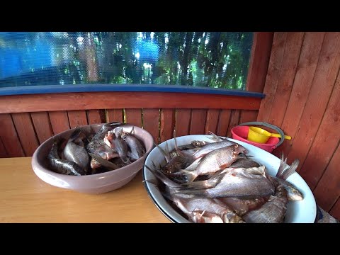 Видео: ТАК ЛЕЩА ЕЩЁ НЕ КТО НЕ ГОТОВИЛ! БОСЯЦКАЯ КУХНЯ В ДЕРЕВНЕ ЛЕТОМ \ СЛОЖНЫЕ КОНСЕРВЫ В АВТОКЛАВЕ!