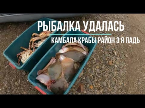 Видео: Сахалинская рыбалка камбала крабы залив Анива