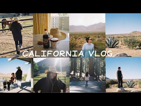 Видео: CALIFORNIA VLOG: будни в ЛА, путешествие на машине