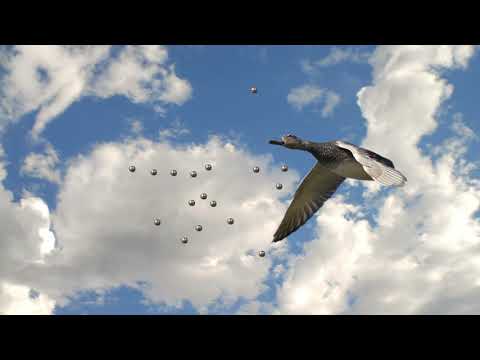 Видео: Полёт дроби. Почему подранки!