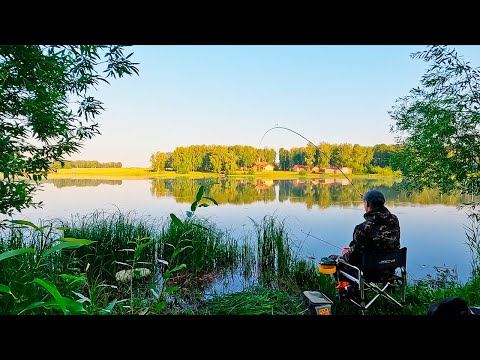Видео: Вода КИПИТ от ЖАРЫ! КАК поймать КАРАСЯ?! /Светлый мастер