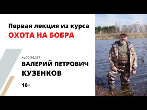 Видео: Охота на бобра. Учет и популяция. Академия охоты, лекция из курса "Охота на бобра"