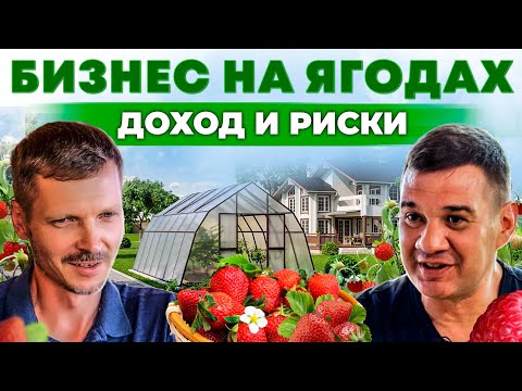 Видео: 8 миллионов рублей с гектара | Доходный бизнес на клубнике и малине. Как начать? Андрей Даниленко