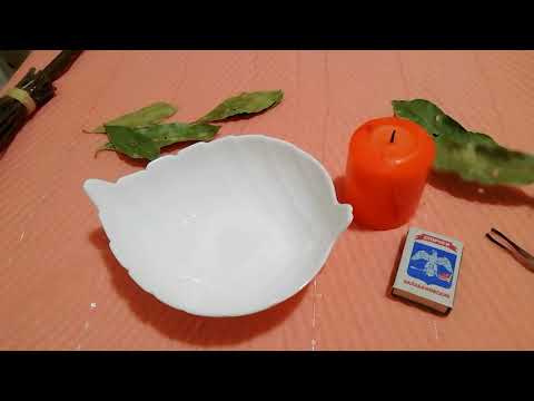 Видео: ИСПОЛНЕНИЕ ЖЕЛАНИЙ /МАГИЧЕСКИЙ РИТУАЛ С ПОМОЩЬЮ ЛАВРОВОГО ЛИСТА