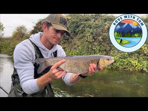 Видео: Плавание по этой небольшой реке окупается!