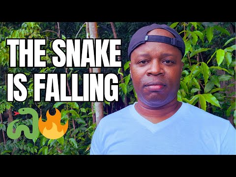 Видео: Их время истекло — змея, которая предала тебя, наконец падает 🐍🔥