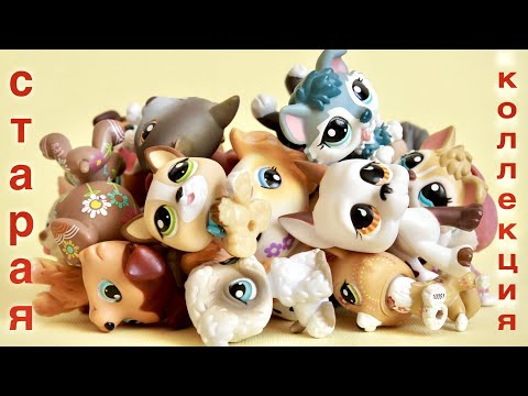Видео: LPS мои старые собаки / LPS collection old dog