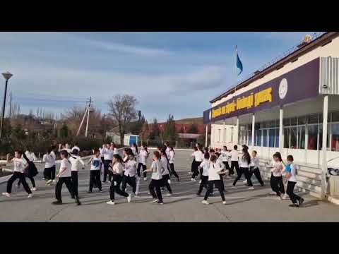 Видео: Қожамжарова Бағлан. Өзін-өзі басқару ұйымы "ЗОРЛЫҚ зомбылықсыз балалық шақ" флешмоб