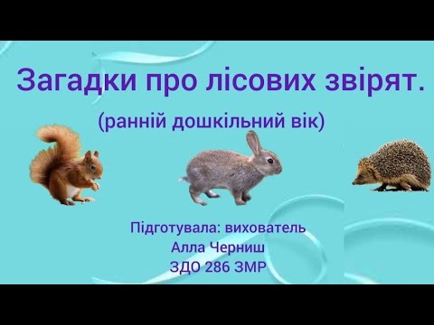 Видео: Загадки про лісових звірят.