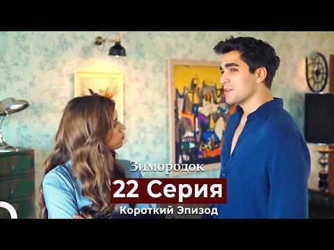 Видео: Зимородок 22 Cерия (Короткий Эпизод) (Русский дубляж)