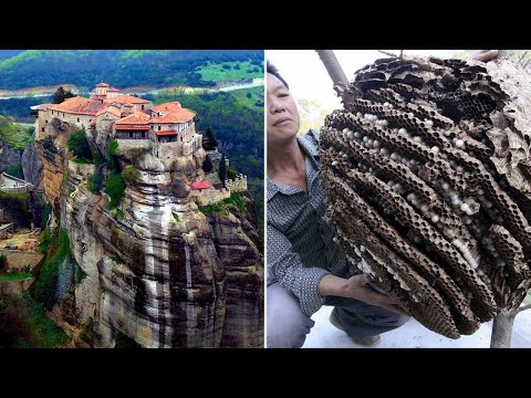 Видео: ▽ Уникальные дома, построенные людьми и животными
