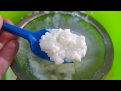 Видео: Как хранить тибетский молочный гриб?