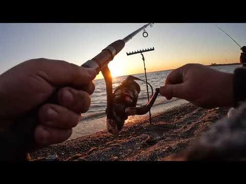 Видео: Капчагай 5 насосная