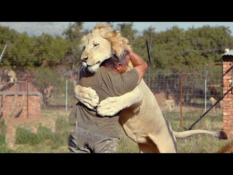 Видео: Случаи Невероятной Дружбы Людей и Диких Животных!