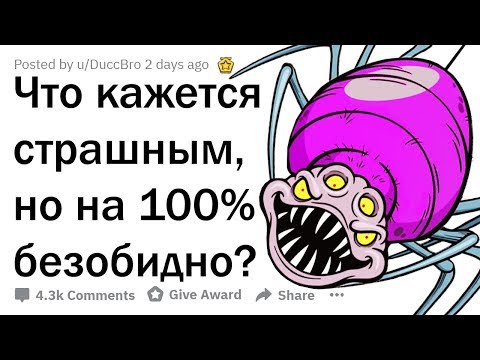 Видео: ЧТО КАЖЕТСЯ СТРАШНЫМ, НО СОВЕРШЕННО БЕЗОБИДНО?
