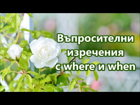 Видео: Уча английски: Въпросителни изречения с Where & When + FREE PDF