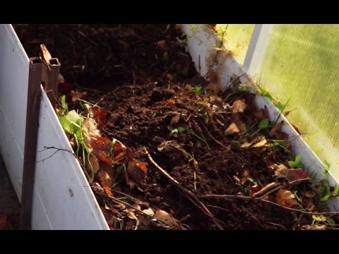 Видео: Как правильно сделать теплые грядки в теплице?