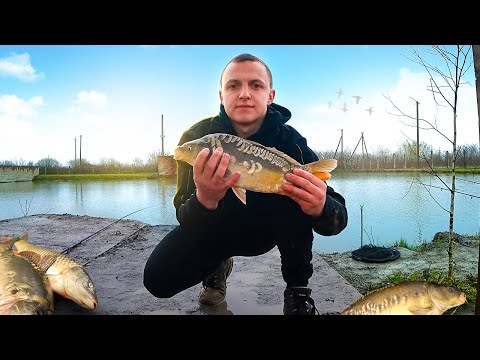 Видео: Ловля карпа весною! Перша рибалка в 2023 році на карпа!