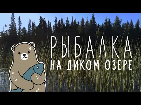 Видео: Рыбалка на диком озере. Кандалакша