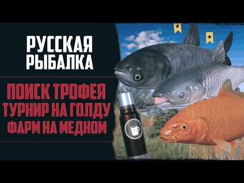 Видео: ТУРНИР НА АХТУБЕ | ФАРМ СЕРЕБРА ЦВЕТНЯКАМИ НА МЕДНОМ 🔴 Русская Рыбалка 4