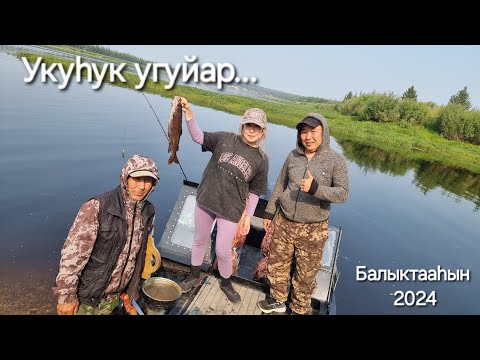 Видео: Укуһук угуйар... Балыктааһын - 2024