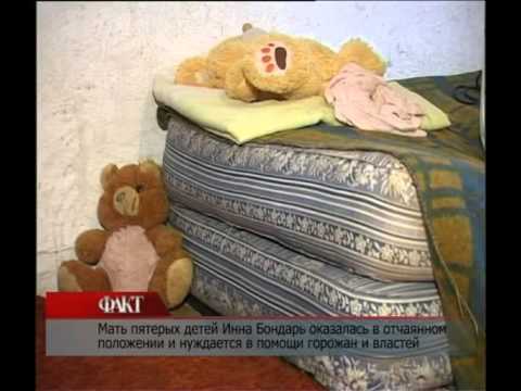 Видео: Многодетная мать живет на даче площадью 4 кв.м.