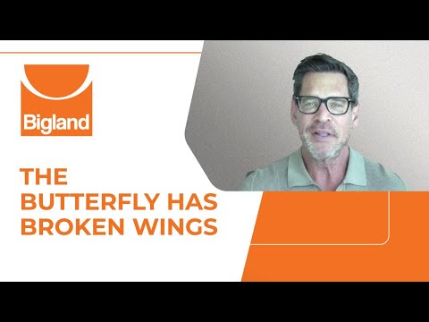 Видео: У бабочки сломаны крылья