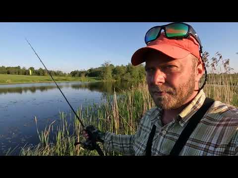 Видео: Разведка новых мест! Ловля ЩУКИ на спиннинг! Рыбалка весной на озере с берега!