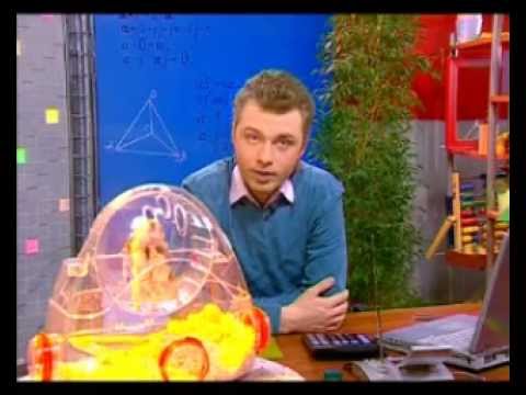 Видео: Математика 3. Ноль. Точка и плоскость — Академия занимательных наук