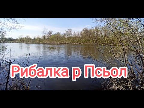 Видео: В!дкриття сезону рибалки 2024# Псел Сухораб!вка#