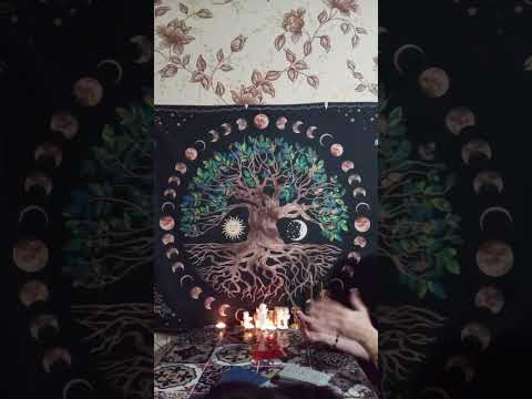 Видео: ⚡ТАРО ДЛЯ МУЖЧИН. Что или кто спешит в вашу жизнь#мысличувствадействия #tarot ⚡