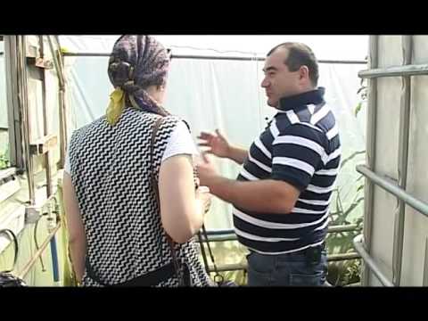 Видео: Мурат Теунов Другие оттенки