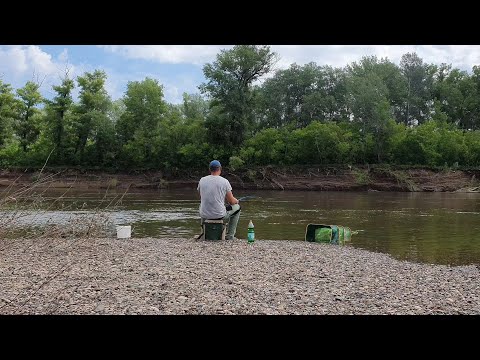 Видео: В проводку с берега на мормышку. Потрясающая рыбалка и природа. Река Сакмара