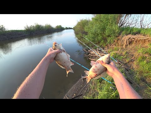 Видео: Пробрались через болото. Ищем в ямах сазана.