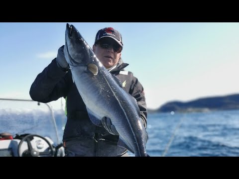 Видео: РЫБАЛКА В НОРВЕГИЙ 2023 !  ПЕРВЫЙ ДЕНЬ ! ПЕРВАЯ РЫБКА !!!