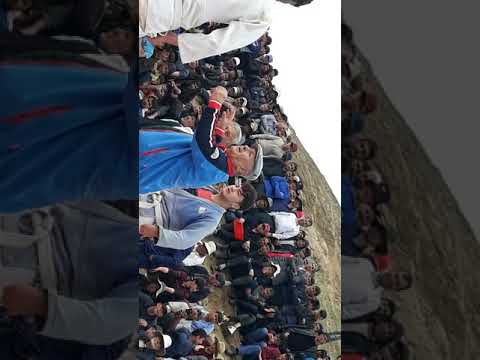 Видео: гуштин дар саричашма