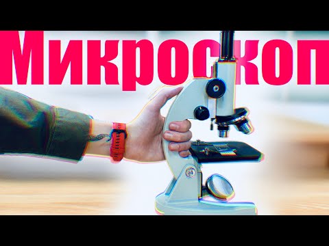 Видео: Микроскоп | Строение Микроскопа 🔬 Как пользоваться микроскопом?